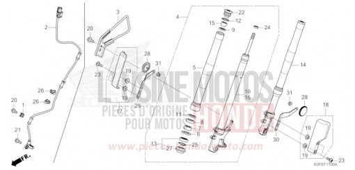GABEL, VORNE Z125MAS de 2025